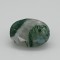 Tree Agate  5.57 Ct Gem Quality